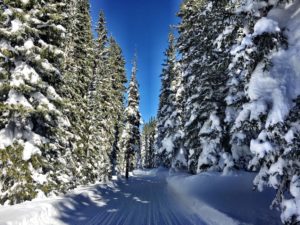 From dog sledding to snowmobiling, there's lots more to do in Steamboat Springs, Colorado than ski.