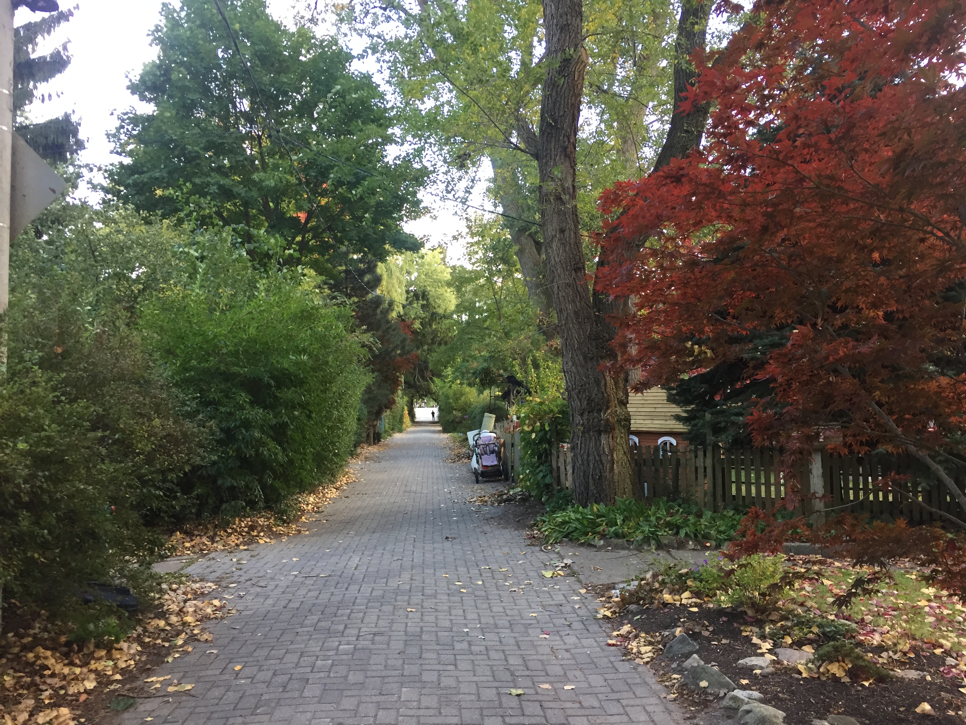 Don't think of Toronto as just another northeast North American city. The absolute best time to visit Toronto is in the fall when the trees are a-changing.