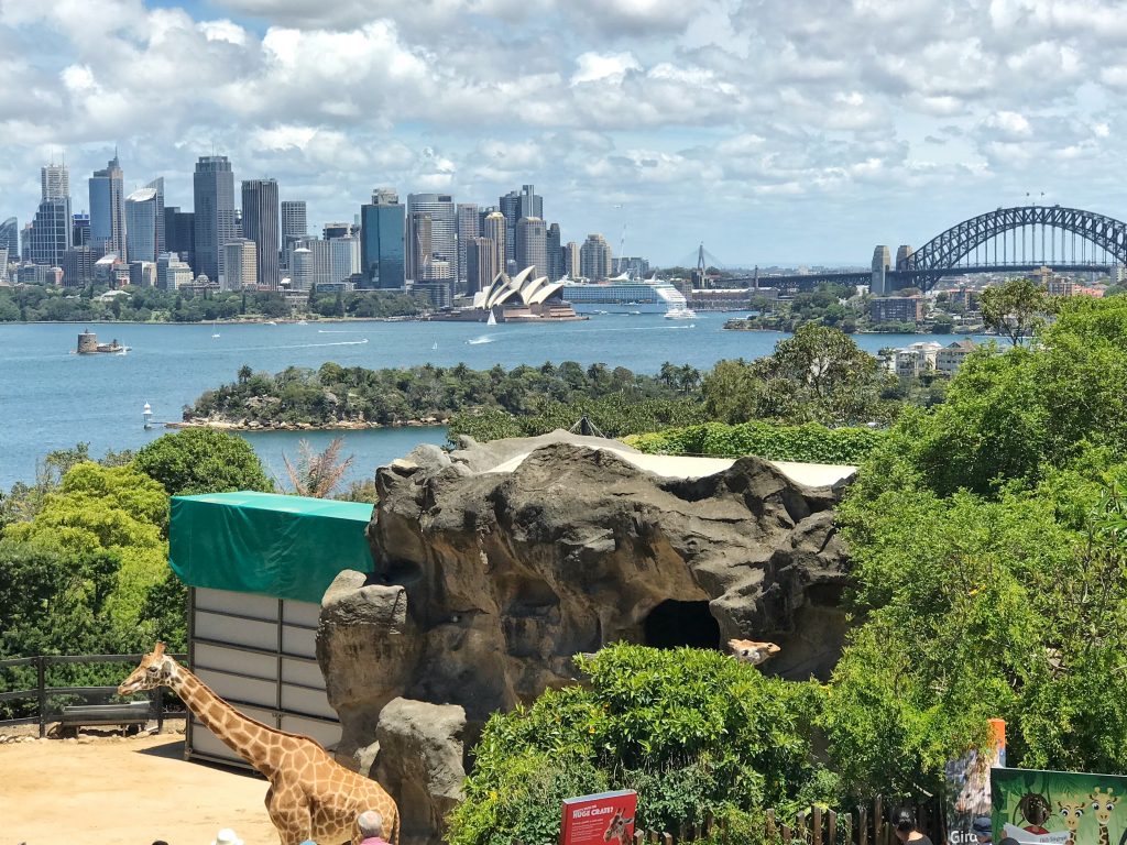The perfect weekend getaway in Sydney is to the Taronga Zoo that has beautiful views of the skyline.