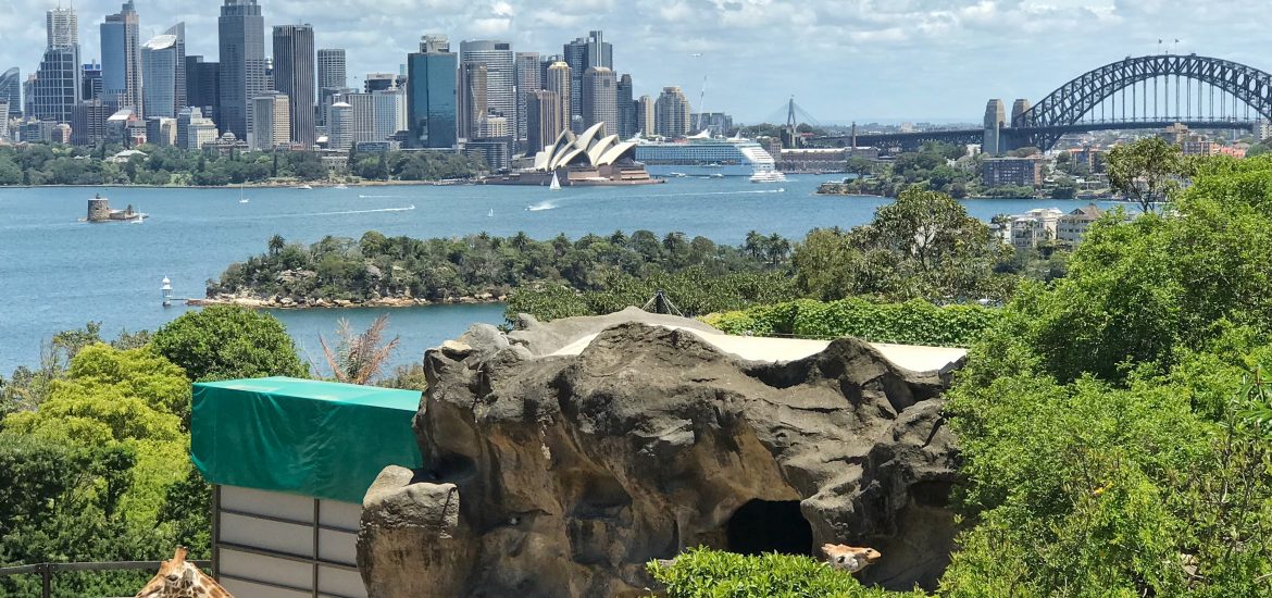 The perfect weekend getaway in Sydney is to the Taronga Zoo that has beautiful views of the skyline.
