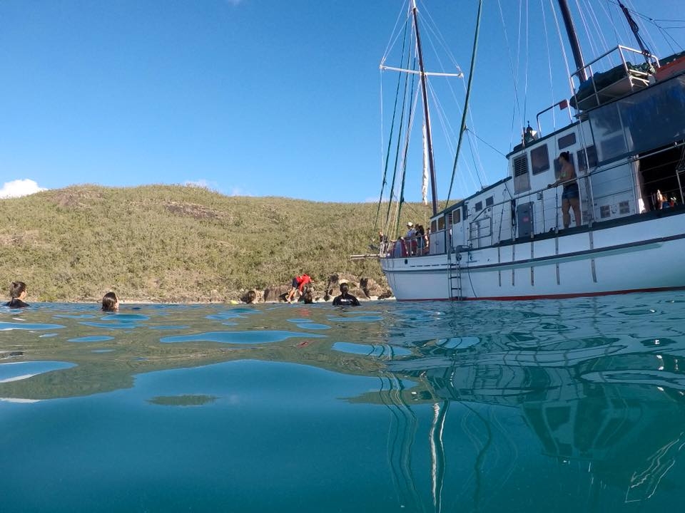 The New Horizon is a 21 meter boat sailing through the Whitsunday Islands.