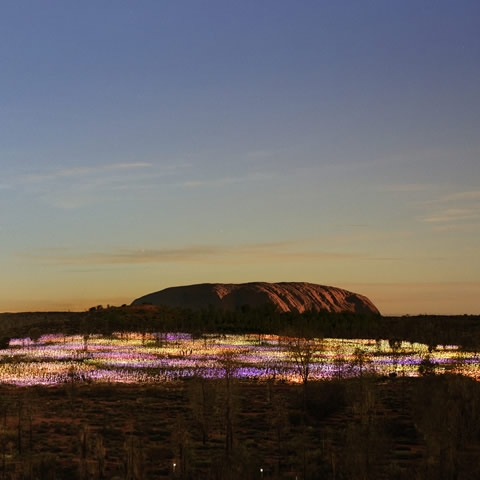 Sunset is an ideal time to view the Field of Light in Uluru.