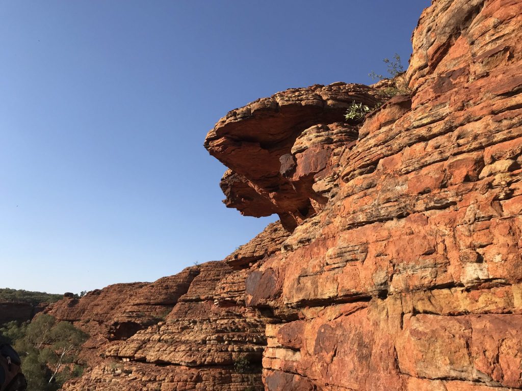 There are endless breathtaking views along the King's Canyon rim walk, one of the many hikes you will do on Adventure Tours' Rock to Rock Tour.