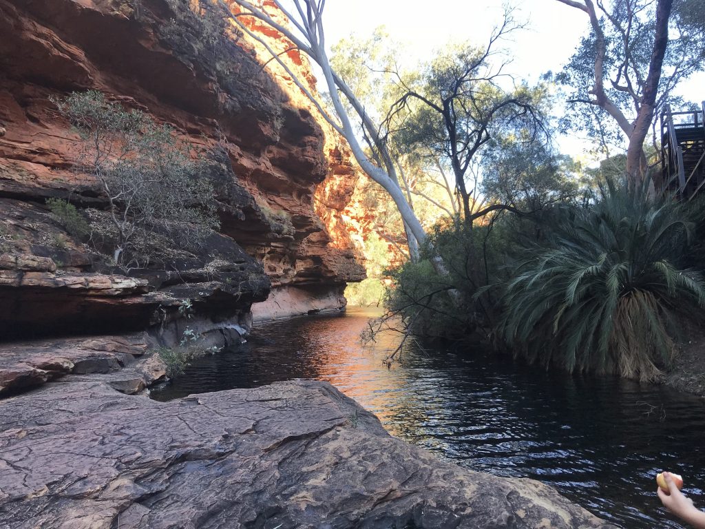 The Garden of Eden is some of the only water you'll see on the King's Canyon rim walk.