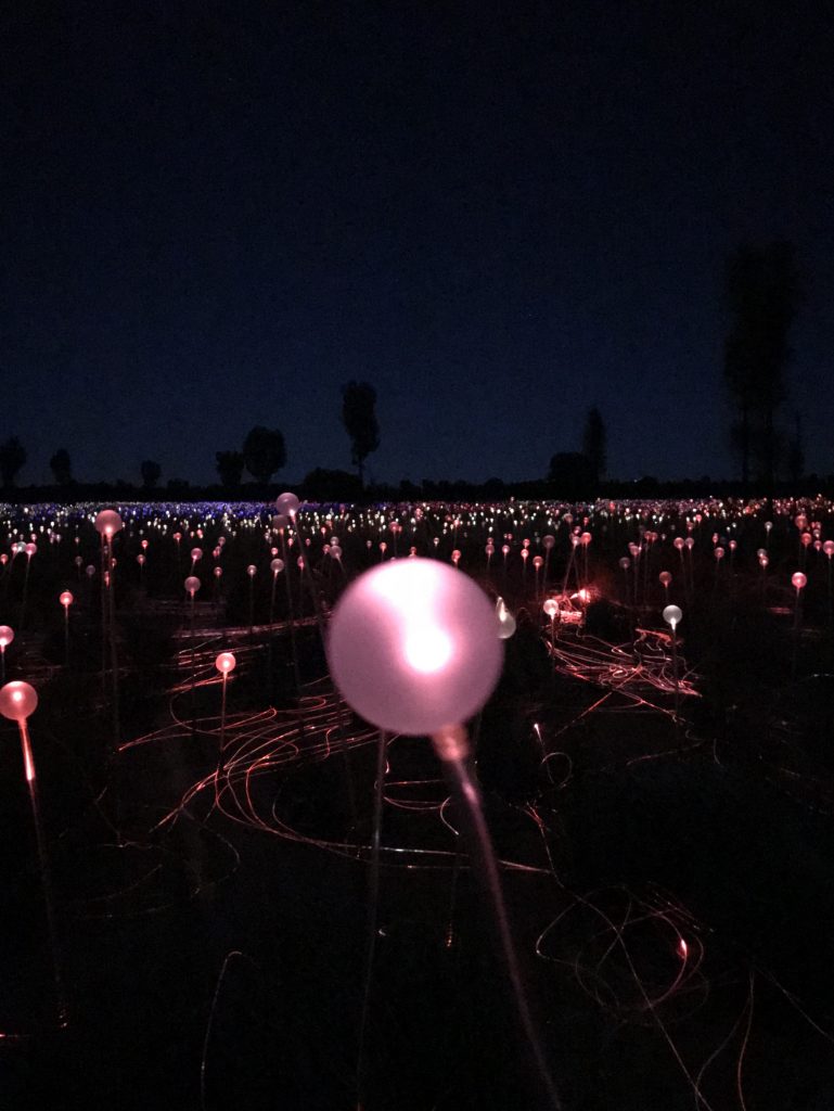 The Field of Light is an art installation just beyond the base of Uluru.