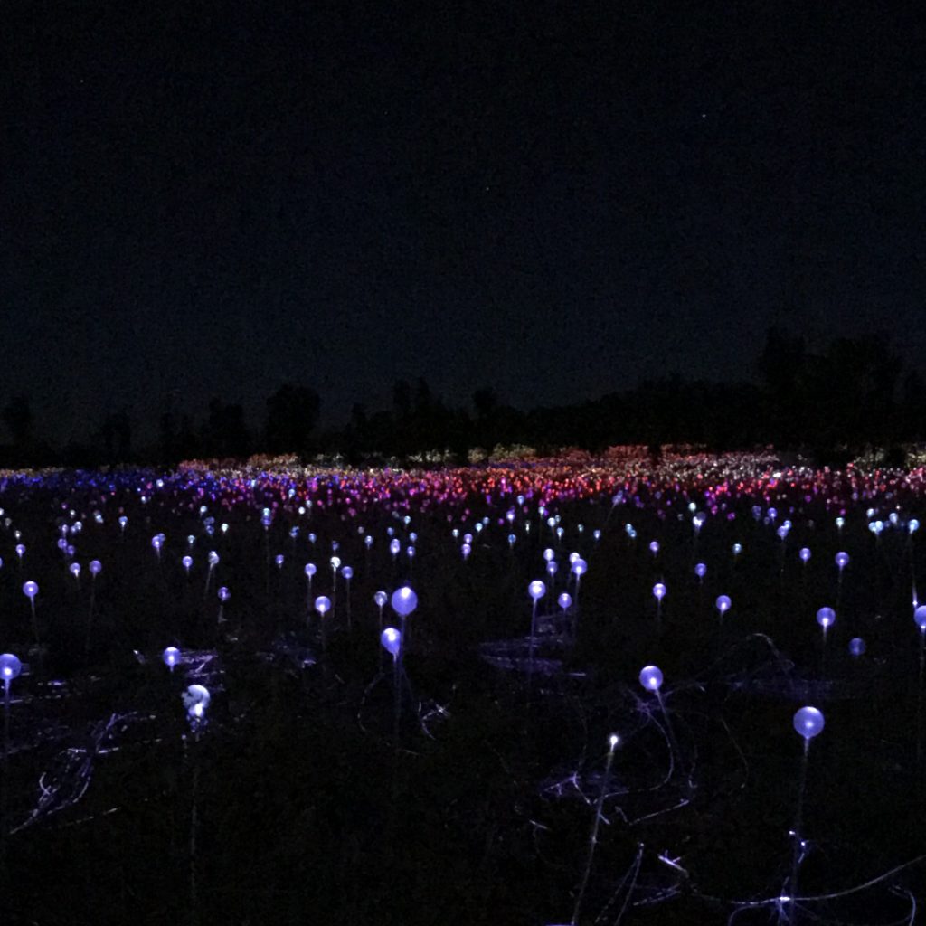 At the Field of Light, 50,000 lightbulbs cover a field just beyond the base of Uluru.