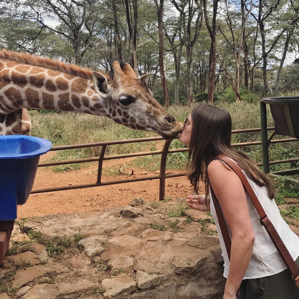 For a cheaper alternative to Giraffe Manor, check out the Giraffe Center where you can get up close and personal with a giraffe.