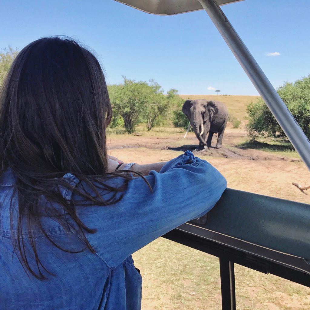 On a budget safari, you'll be in a van instead of a fancy Jeep.