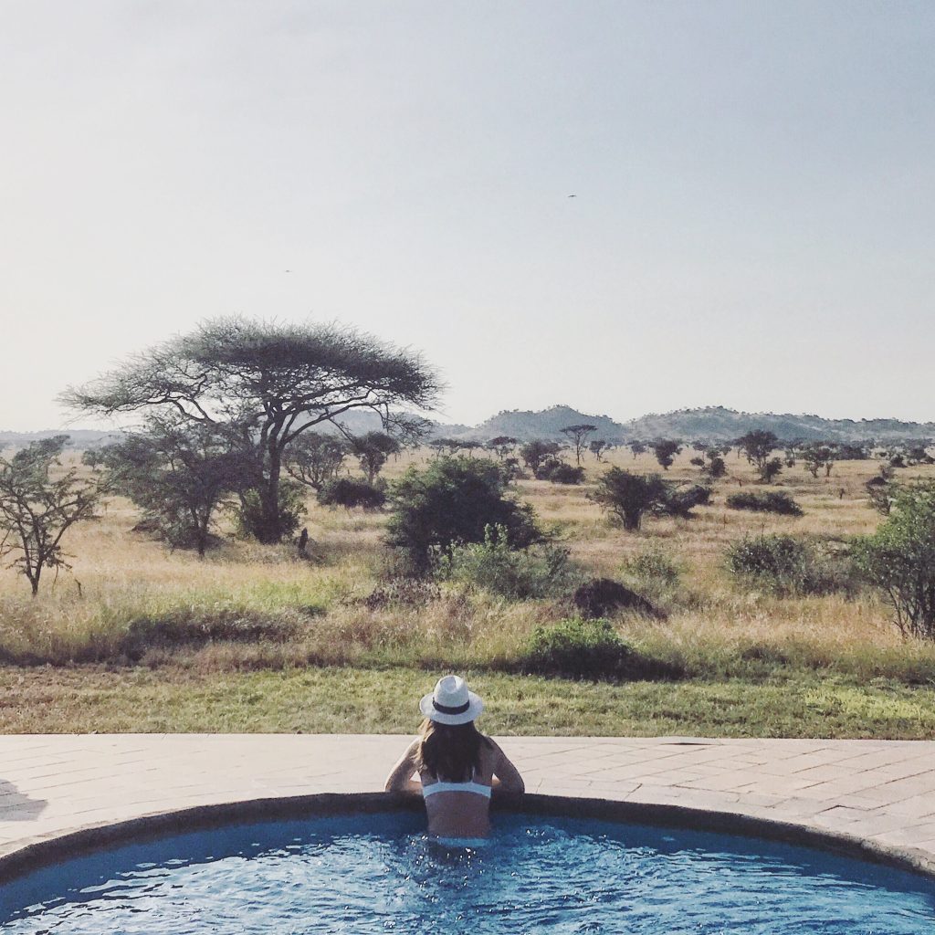 Even though I booked a budget safari, each lodge had some of the most impressive pools and grounds I've seen.