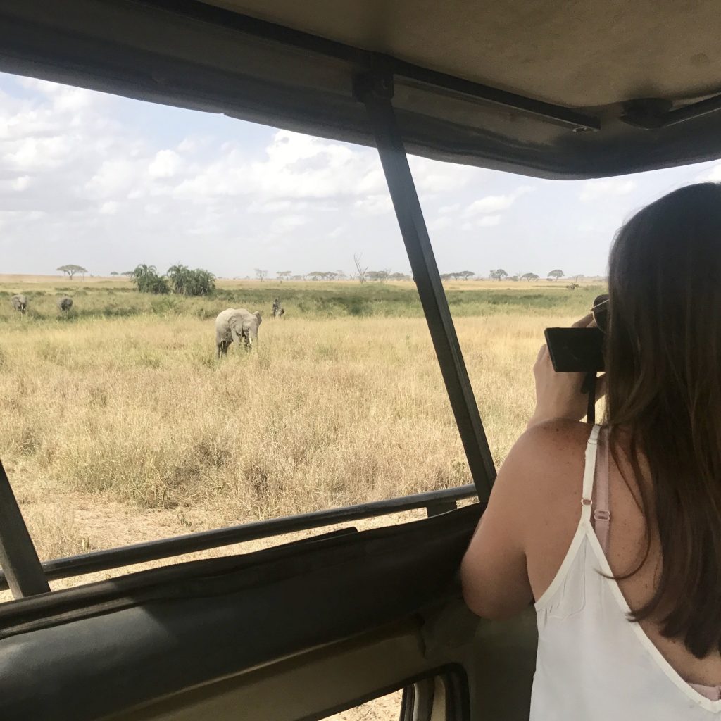 Don't forget to bring a long lens for capturing animals further from your safari jeep.