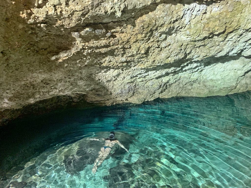 The Choo-ha cenote is only a 45 minute drive from the Mezzanine Hotel in Tulum.