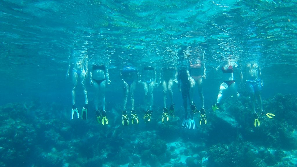 Anda D Wata Tours offered a phenomenal snorkel tour for our time in Caye Caulker, Belize.