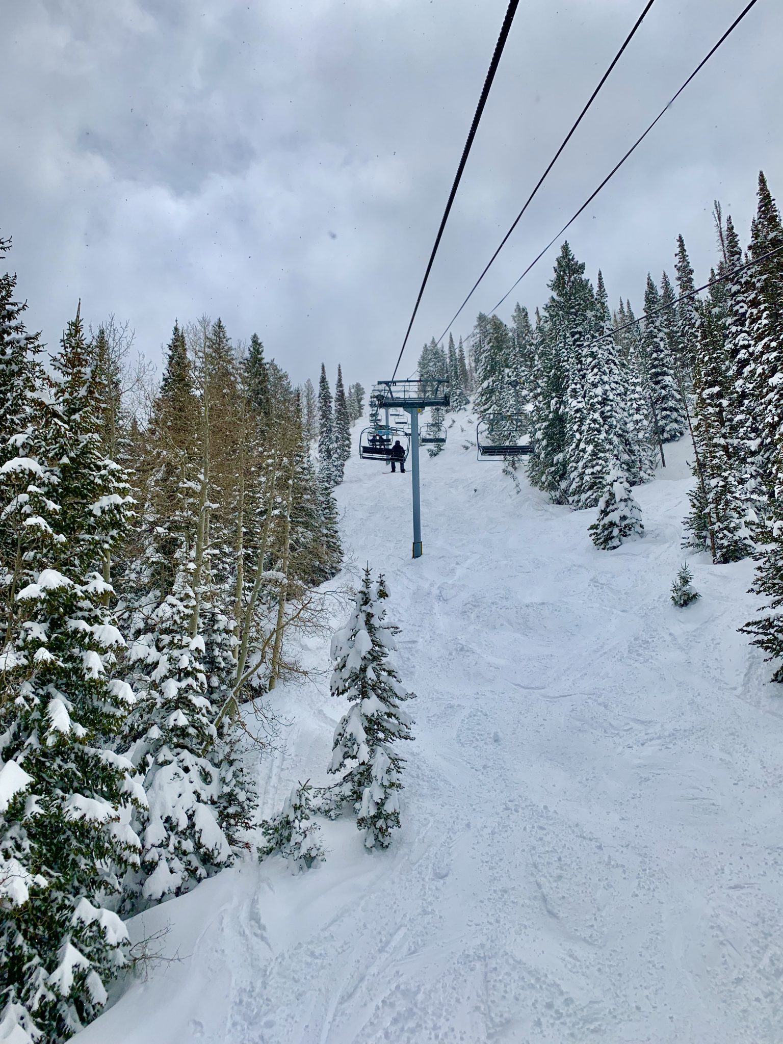 Spring skiing at Utah's Snowbird mountain still had some snow covered trees.