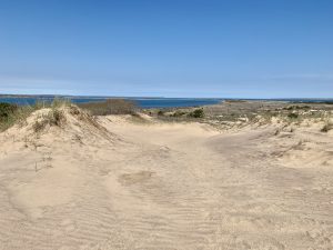 Make sure to check out the walking dunes in Montauk for unique views.