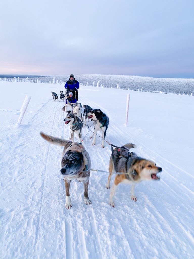 A husky safari is one of many excursions at Northern Lights Village.